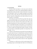 “một số bài tập phát triển sức bền chuyên môn cho nam sinh viên môn bóng chuyền trường đại học tây bắc