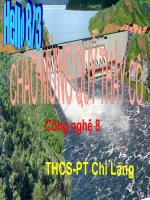 thiet bi dong cat lay dien cua mng dien trong nha