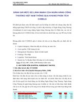 ĐÁNH GIÁ mức độ LÀNH MẠNH của NGÂN HÀNG CÔNG THƯƠNG VIỆT NAM THÔNG QUA KHUNG PHÂN TÍCH CAMELS