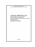 chương trình đào tạo nghành công nghệ kỹ thuật điện điển tử tại trường đại học sư phạm kỹ thuật TPHCM