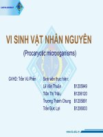 tài liệu vi sinh vật nhân nguyên