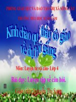 Luyện từ và câu Luyện tập về câu hỏi