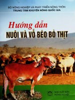 Hướng dẫn nuôi và vỗ béo bò thịt