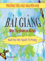 Bài 27: Loài vật sống ở đâu?