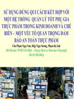 SỬ DỤNG ĐÖNG QUI CÁCH kết hợp với một hệ THỐNG QUẢN lý tốt PHỤ GIA THỰC PHẨM TRONG KINH DOANH và CHẾ BIẾN – một yếu tố QUAN TRỌNG đảm bảo AN TOÀN THỰC PHẨM