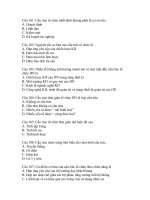 câu hỏi ôn tập quản trị doanh nghiệp