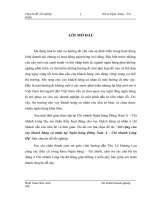 Mở rộng cho vay khách hàng cá nhân tại ngân hàng Đông Nam Á chi nhánh Láng Hạ