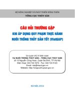 Câu hỏi thường gặp khi áp dụng vi phạm thực hành nuôi trồng thủy sản VietGap