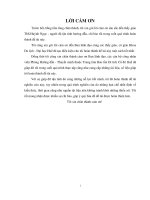 đánh giá sự hài lòng của du khách đối với điểm tham quan lăng khải định và lăng tự đức
