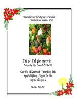 CĐ 7: Thế giới thực vật