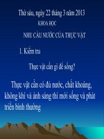 Bai NHU CAU NUOC CUA THUC VAT