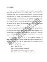 Báo cáo thực tập tổng hợp tại cụm cảng hàng không miền bắc