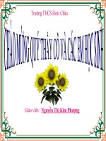 phuong trinh chua dau gia tri tuyet doi