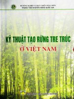 Kỹ thuật tạo rừng tre trúc ở Việt Nam