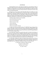 GIỚI THIỆU, QUY HOẠCH LIÊN NGÀNH, CƠ SỞ HẠ TẦNG Hướng dẫn xây dựng nghiên cứu toàn diện về các khía cạnh môi trường của dự án