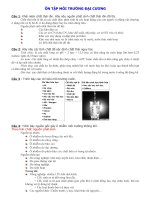 ÔN tập môi TRƯỜNG đại CƯƠNG