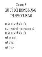 Chương 3: XỬ LÝ LỖI TRONG MẠNG TELEPROCESSING