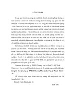 Kế toán hàng tồn kho tại công ty TNHH thương mại và dịch vụ kỹ thuật Thành An