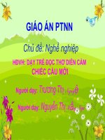 Thơ chiếc cầu mới