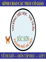 Cuôc chạy đua trong rừng