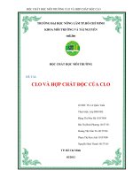clo và hợp chất độc của clo