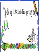 đặc điiểm loại hình của tiéng việt.ppt