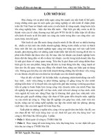 Chuyên đề tốt nghiệp Kế toán hàng hóa và xác định kết quả tiêu thụ hàng hóa tại công ty HH Mai Hà