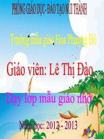 KPKH con meo- con ga