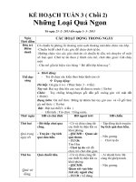 giáo án thực vat 2013