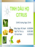 tổng quan Tinh dầu họ citrus