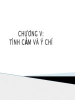 tâm lý học  tình cảm