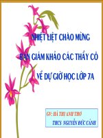 Tiet 105 Van ban Song chet mac bay