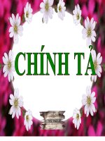 CT LỚP 2 : CÂY DỪA