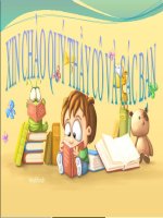 Ô nhiễm môi trường do các chất thải rắn