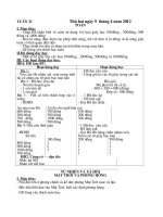 Giáo án lớp 2 tuần 32 CKTKN