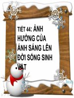 sinh học 9 bài ảnh hưởng của ánh sáng lên đời sống sinh vật- giáo án lớp 9 tham khảo thao giảng, thi giáo viên dạy giỏi (2)