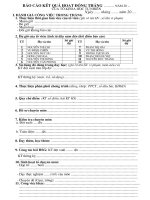 Báo cáo tháng của tổ chuyên môn