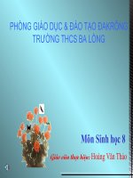 Bài 29: Sự hấp thụ chất dinh dưỡng và  thải phân