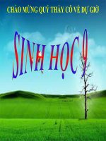 Tiet 58. Ô nhiễm môi trường (TT)