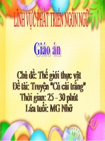 Truyện: Củ cải trắng