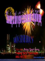 sinh học 9 bài ảnh hưởng của ánh sáng lên đời sống sinh vật- giáo án lớp 9 tham khảo thao giảng, thi giáo viên dạy giỏi (8)