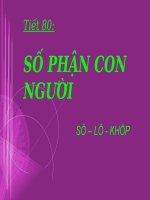T80 Số phận con người