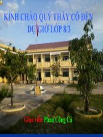 Ôn Tập toán đại 8