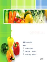 Tổng quan về Citronellal