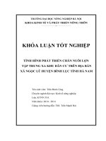 TÌNH HÌNH PHÁT TRIỂN CHĂN NUÔI lợn