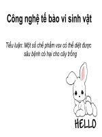 Chế phẩm thuốc trừ sâu vi sinh