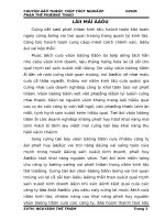 Chuyên đề tốt nghiệp kế toán vốn bằng tiền tại công ty TNHH Liên Bảo Nam.