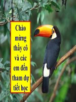 sinh học 9 bài ảnh hưởng của ánh sáng lên đời sống sinh vật- giáo án lớp 9 tham khảo thao giảng, thi giáo viên dạy giỏi (10)