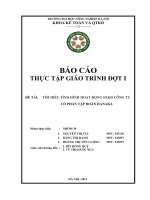 Tìm hiểu tình hình hoạt động SXKD công ty cổ phần tập đoàn Hanaka