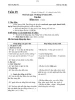 tuan 29 năm hoc 2012 - 2013